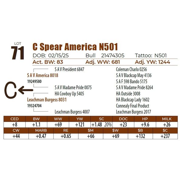 C Spear America N501