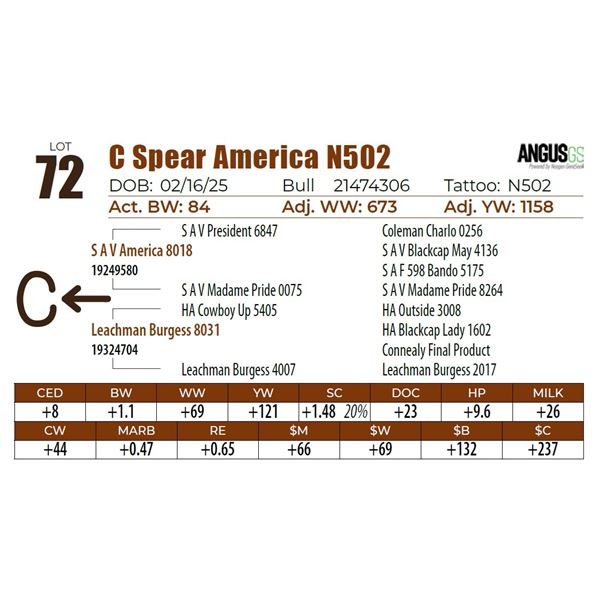 C Spear America N502