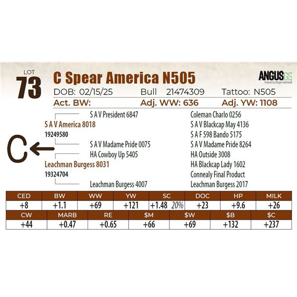C Spear America N505