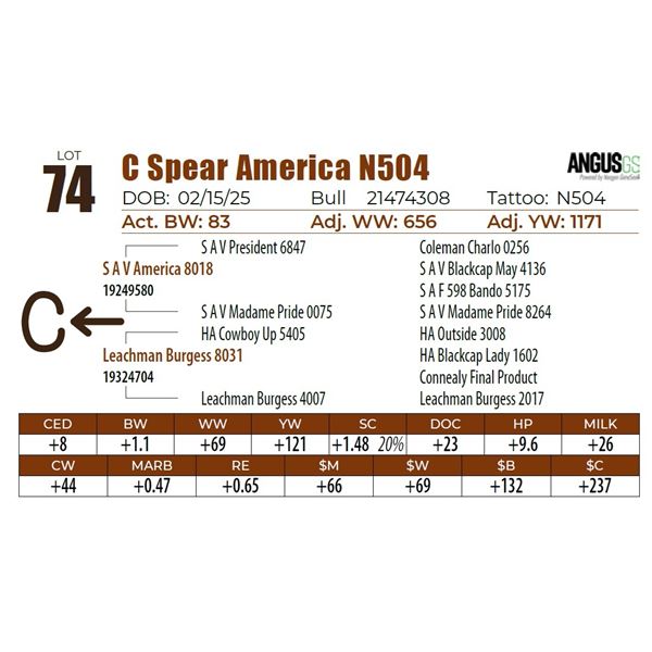 C Spear America N504