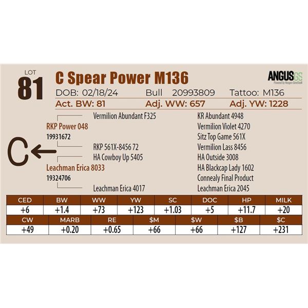 C Spear Power M136