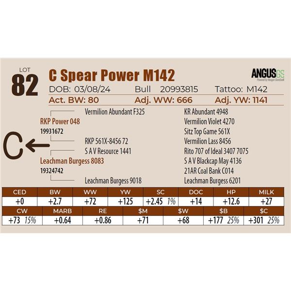 C Spear Power M142