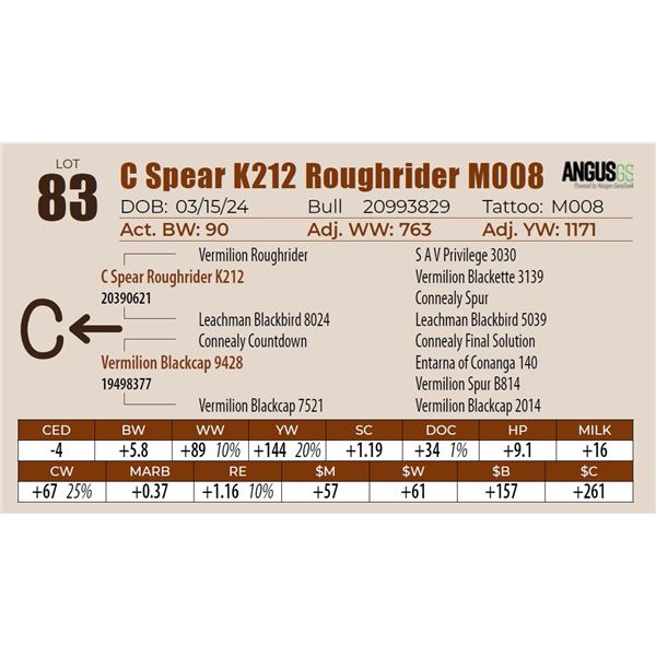 C Spear K212 Roughrider M008