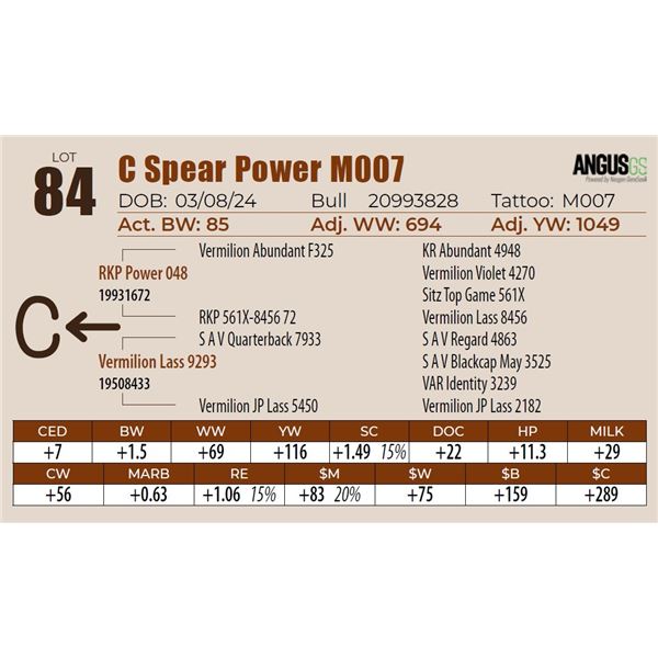 C Spear Power M007