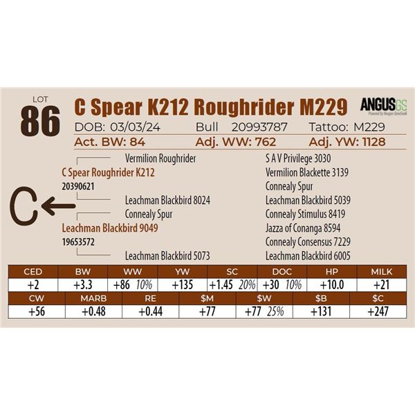 C Spear K212 Roughrider M229