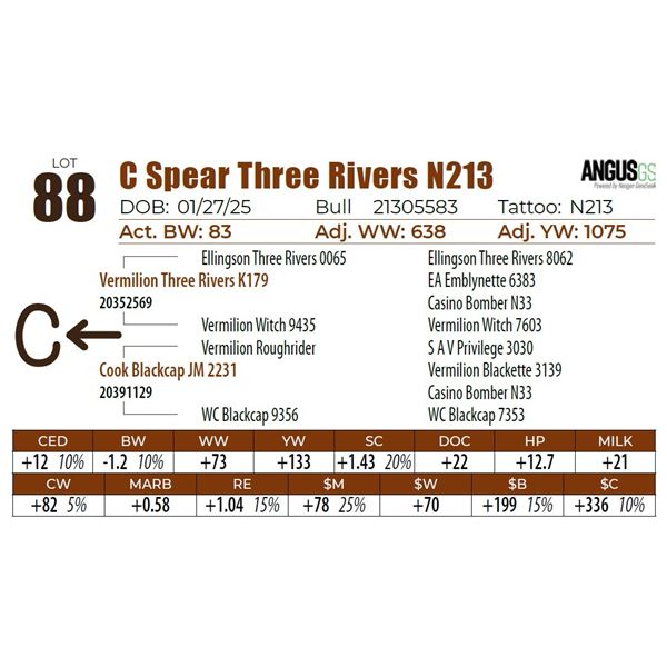 C Spear Three Rivers N213