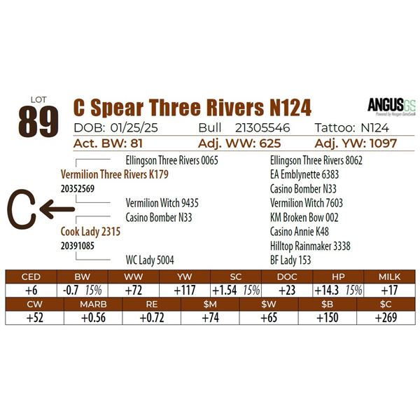 C Spear Three Rivers N124