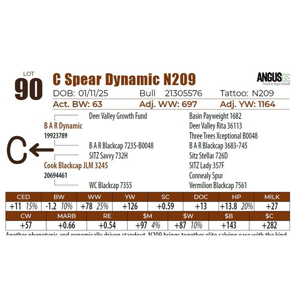 C Spear Dynamic N209