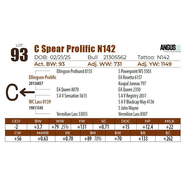 C Spear Prolific N142