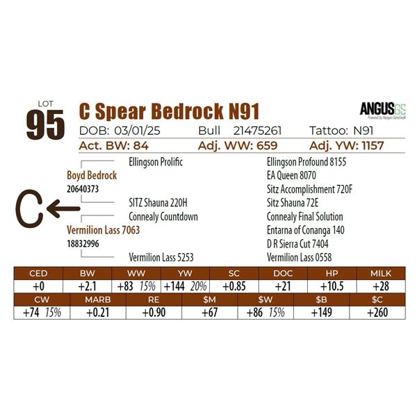 C Spear Bedrock N91