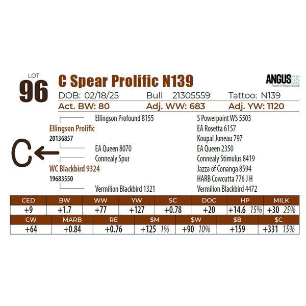 C Spear Prolific N139