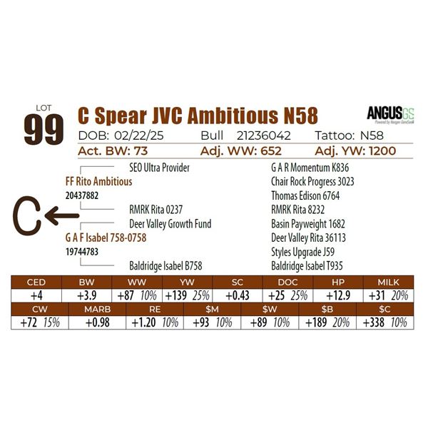C Spear JVC Ambitious N58