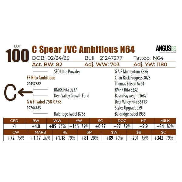 C Spear JVC Ambitious N64