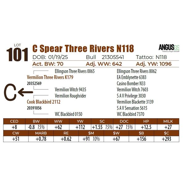 C Spear Three Rivers N118