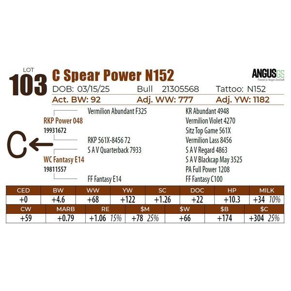 C Spear Power N152