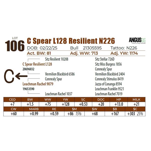 C Spear L128 Resilient N226