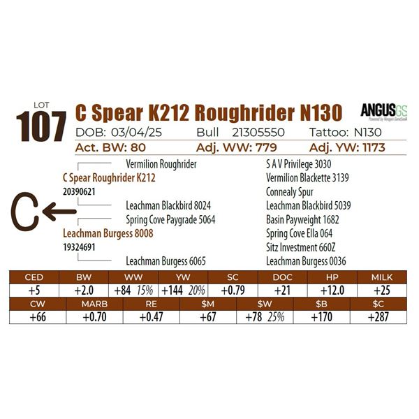 C Spear K212 Roughrider N130