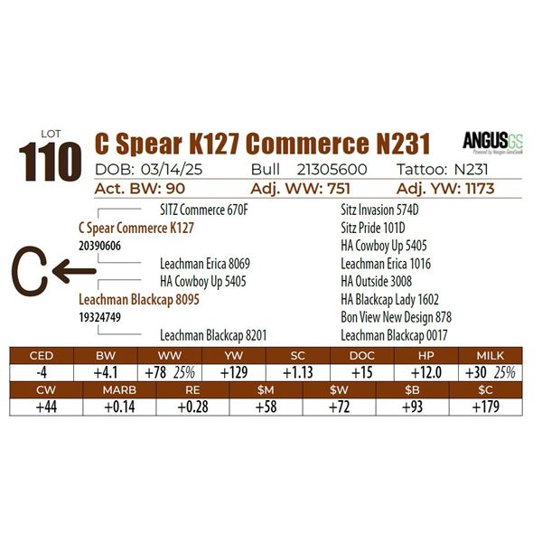 C Spear K127 Commerce N231