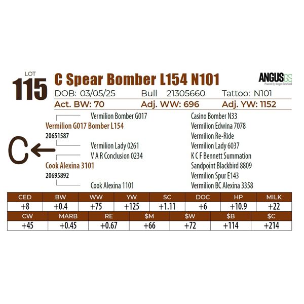 C Spear Bomber L154 N101