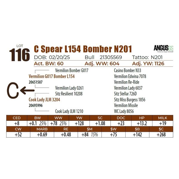 C Spear L154 Bomber N201