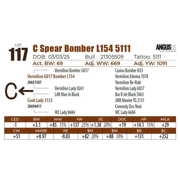 C Spear Bomber L154 5111