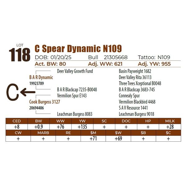 C Spear Dynamic N109