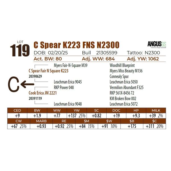 C Spear K223 FNS N2300
