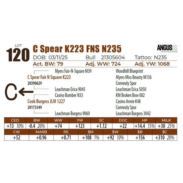 C Spear K223 FNS N235