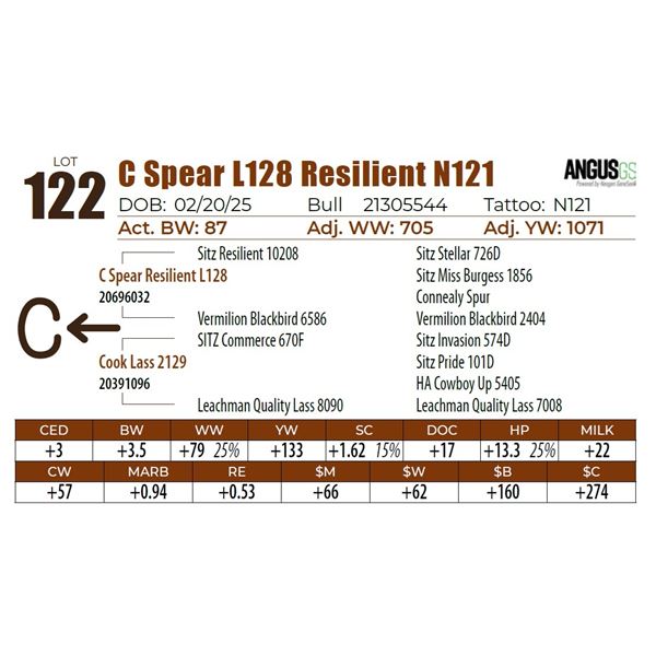 C Spear L128 Resilient N121
