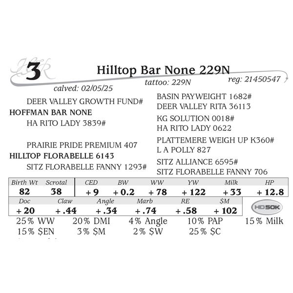 Hilltop Bar None 229N