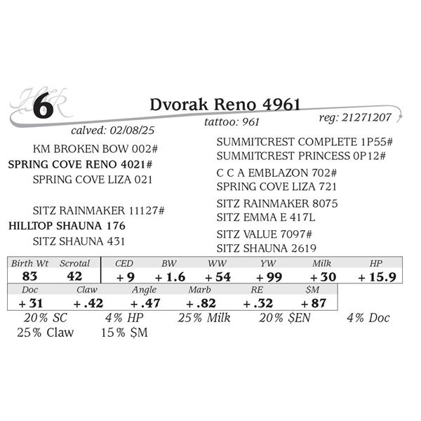 Dvorak Reno 4961