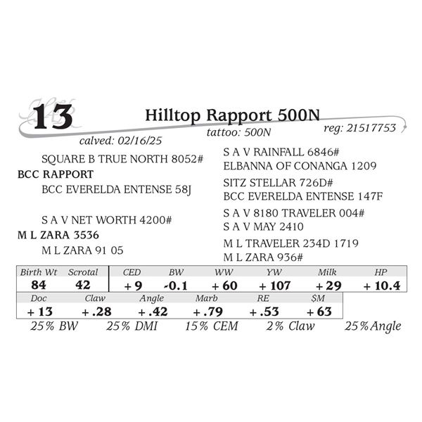Hilltop Rapport 500N