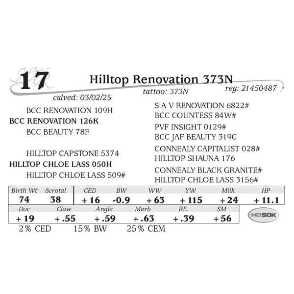 Hilltop Renovation 373N