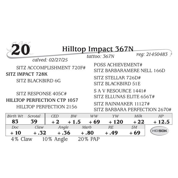 Hilltop Impact 367N