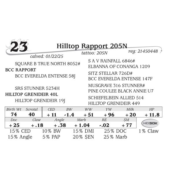 Hilltop Rapport 205N