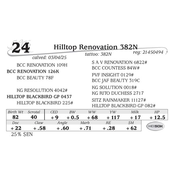 Hilltop Renovation 382N
