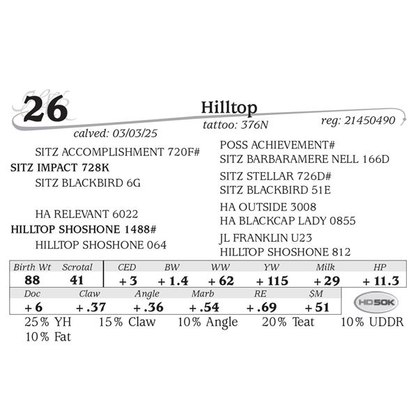 Hilltop Impact 376N