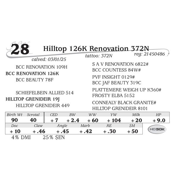 Hilltop 126K Renovation 372N