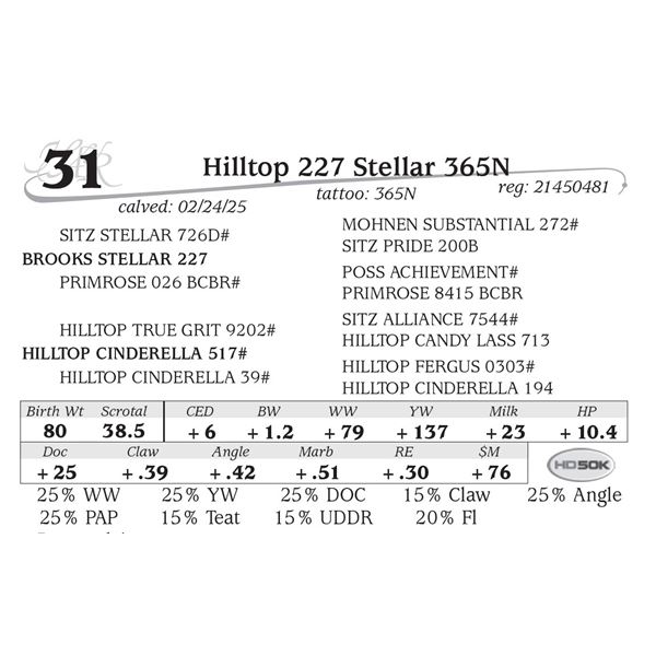 Hilltop 227 Stellar 365N