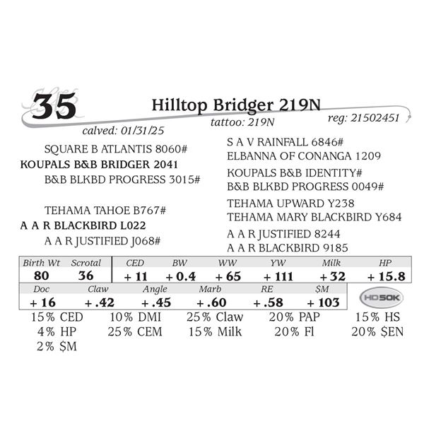 Hilltop Bridger 219N