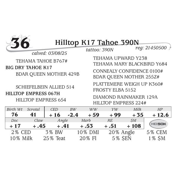 Hilltop K17 Tahoe 390N