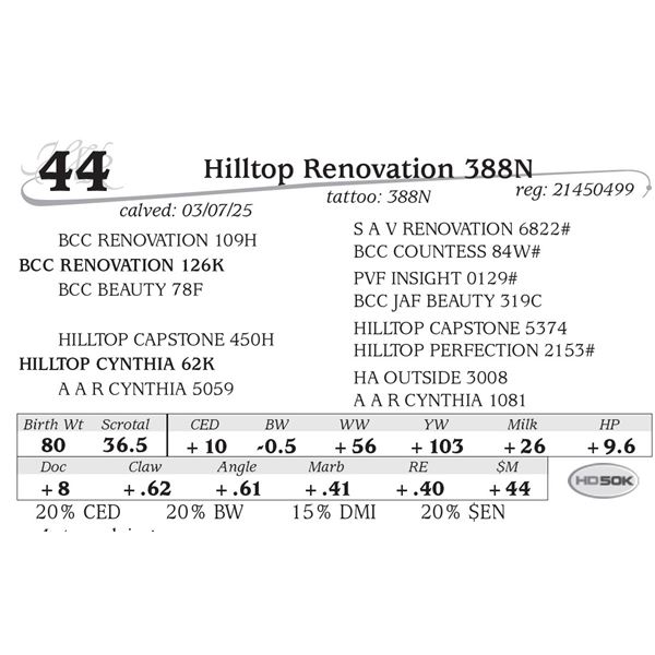 Hilltop Renovation 388N