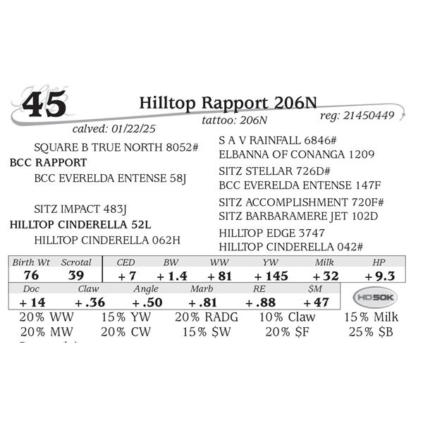 Hilltop Rapport 206N