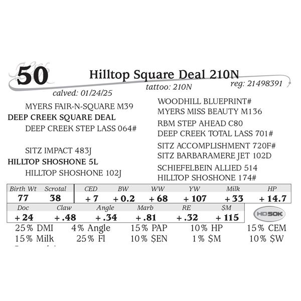 Hilltop Square Deal 210N