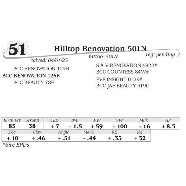 Hilltop Renovation 501N