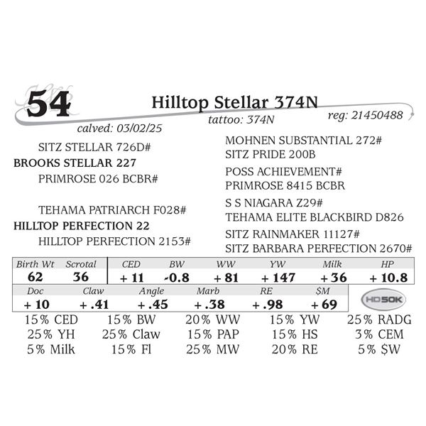 Hilltop Stellar 374N