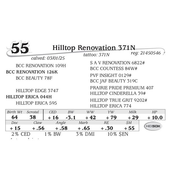 Hilltop Renovation 371N