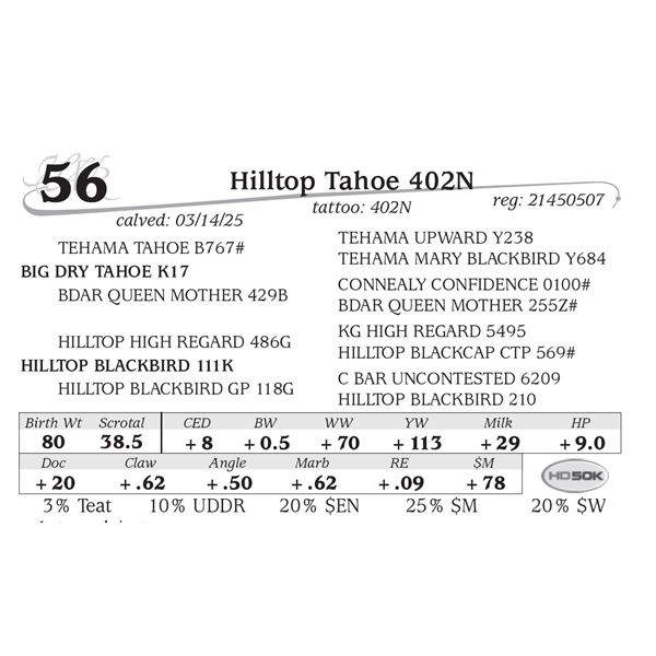 Hilltop Tahoe 402N