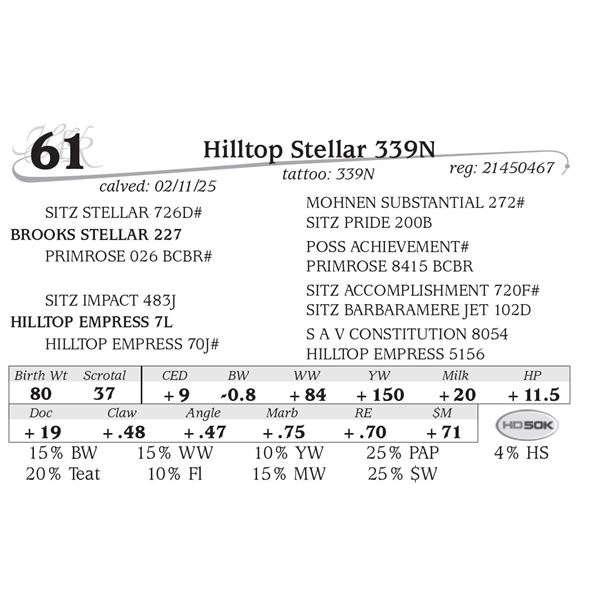 Hilltop Stellar 339N