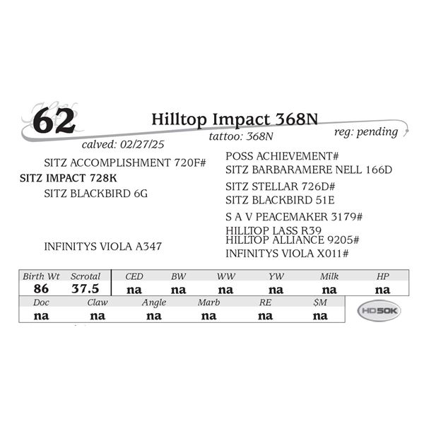 Hilltop Impact 368N